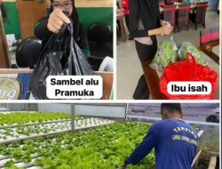 Tembus Pasar Restoran dan Usaha Mikro, Pakcoy dan Selada Hidroponik Warga Binaan Terus Berikan Pengaruh Positif