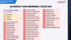 Pemprov Lampung Terima Sapi Kurban Bantuan Presiden untuk Iduladha 2026*