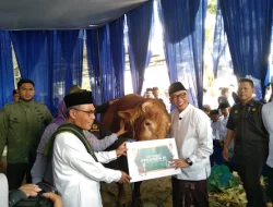 Hari Raya Idul Adha 1447 H Gubernur Mirza Serahkan “Si Tole”, Sapi Limosin Bantuan Presiden Ke Panitia Hewan Kurban Masjid Al Bakrie