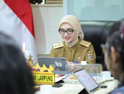 Wagub Jihan Nurlela Terima Kunjungan Yayasan BoemiKita dan GGGI Indonesia