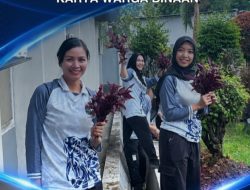 Percantik Area Luar, Lapas Kelas I Bandar Lampung Hiasi Taman Menggunakan Bayam Merah Hias Karya Warga Binaan