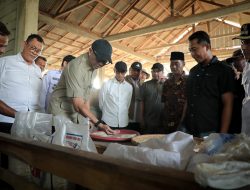 Gubernur Mirza Tinjau Pasar Murah di Bandar Negeri Suoh, Warga Antusias Berburu Bahan Pokok