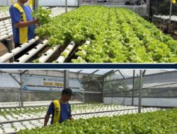 Tetap Menghijau Saat Akhir Pekan, Lapas Kelas I Bandar Lampung Tegaskan Karya Bermanfaat Tidak Pernah Libur