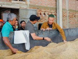 Pemprov Lampung Dorong Hilirisasi Gabah di Tingkat Desa Lewat Bed Dryer