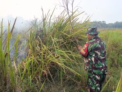 Pangdam XXI/Radin Inten Kerahkan Prajurit Yonif TP 943/DPC untuk Bantu Pemadaman Karhutla di Way Kambas