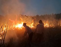 Quick Respon Satuan Brimob Polda Lampung Terjunkan Personel Tangani Karhutla di Taman Nasional Way Kambas