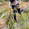 PRODUKTIF DARI BALIK JERUJI, WBP LAPAS AMPANA PANEN 17 KG TERONG