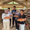 Perkuat Ketahanan Pangan, Lapas Muara Tebo Dukung Ketahanan Pangan melalui Panen Telur