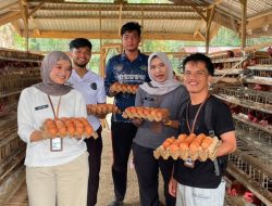Perkuat Ketahanan Pangan, Lapas Muara Tebo Dukung Ketahanan Pangan melalui Panen Telur