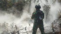 Mengenal Tim Alfa TNI yang Terjun ke Way Kambas?
