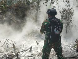 Mengenal Tim Alfa TNI yang Terjun ke Way Kambas?