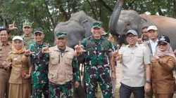 Kunjungi Taman Nasional Way Kambas, Gubernur dan Pangdam Pastikan Gajah Tidak Terdampak Kebakaran