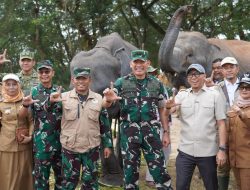 Kunjungi Taman Nasional Way Kambas, Gubernur dan Pangdam Pastikan Gajah Tidak Terdampak Kebakaran