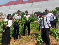 Dukung Ketahanan Pangan, 70 Ikat Bayam Jadi Bukti Produktivitas Warga Binaan