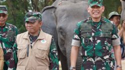 Saat Way Kambas Belajar Berdamai dengan Gajah: Dari Lebah, Sereh hingga Mahot ke Thailand*