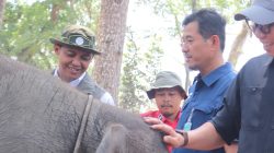 Brigjen TNI Sriyanto Pimpin langsung Eksekusi Pembangunan Infrastruktur TNWK Way Kambas