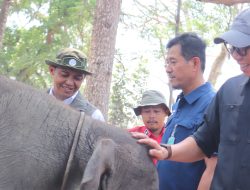 Brigjen TNI Sriyanto Pimpin langsung Eksekusi Pembangunan Infrastruktur TNWK Way Kambas