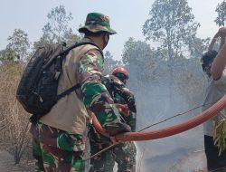 Karhutla Landa Dua Resor TNWK, Tim Gabungan Pastikan Titik Api Jauh dari Habitat Gajah