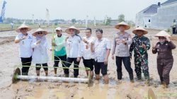 Pemprov Lampung Perkuat Pertanian Modern untuk Tingkatkan Produktivitas dan Pendapatan Petani