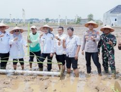Pemprov Lampung Perkuat Pertanian Modern untuk Tingkatkan Produktivitas dan Pendapatan Petani
