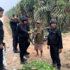Satuan Brimob Polda Lampung Kawal Aksi Unjuk Rasa Masyarakat di PT Pematang Agri Lestari Mesuji