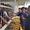 Jumat Berkah, Hangatkan Kebersamaan: Lapas Muara Tebo Berbagi Kebahagiaan dengan Warga Binaan