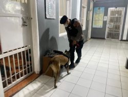Sinergi Tanpa Kompromi: Lapas Kelas I Bandar Lampung Gelar Razia Gabungan Bersama TNI-Polri, Unit K-9, Serta Tes Urine Warga Binaan untuk Pastikan Bersih dari Handphone dan Narkoba