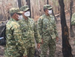 Tinjau Karhutla Way Kambas, Kasrem 043/Gatam Dampingi Kepala BNPB Kawal Keselamatan Ekosistem