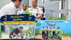 Kurang dari Sebulan, LPKA Tenggarong Panen Selada Hasil Pembinaan Kemandirian Anak Binaan