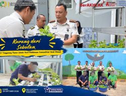 Kurang dari Sebulan, LPKA Tenggarong Panen Selada Hasil Pembinaan Kemandirian Anak Binaan