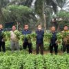 Dari Lahan Tumbuh Harapan: Panen Kangkung Jadi Bukti Nyata Pembinaan Kemandirian di Lapas Muara Tebo