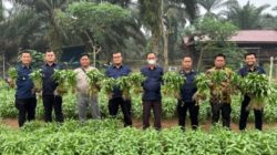 Dari Lahan Tumbuh Harapan: Panen Kangkung Jadi Bukti Nyata Pembinaan Kemandirian di Lapas Muara Tebo