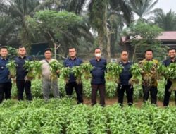 Dari Lahan Tumbuh Harapan: Panen Kangkung Jadi Bukti Nyata Pembinaan Kemandirian di Lapas Muara Tebo