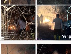 38 Personil Batalyon B Pelopor Satbrimobda Lampung melaksanakan kan  Penanganan Kartahula di Lamtim